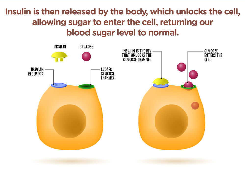 NaturoTea for Glucose Care 24s